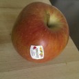 Dinge, die die Welt nicht braucht, nie gebraucht hat und nie brauchen wird Es gibt Dinge in unserer modernen Welt, bei denen frage ich mich jedes Mal aufs Neue, wer sich so einen Blödsinn ausgedacht hat, wenn ich darauf stoße. Eines dieser...